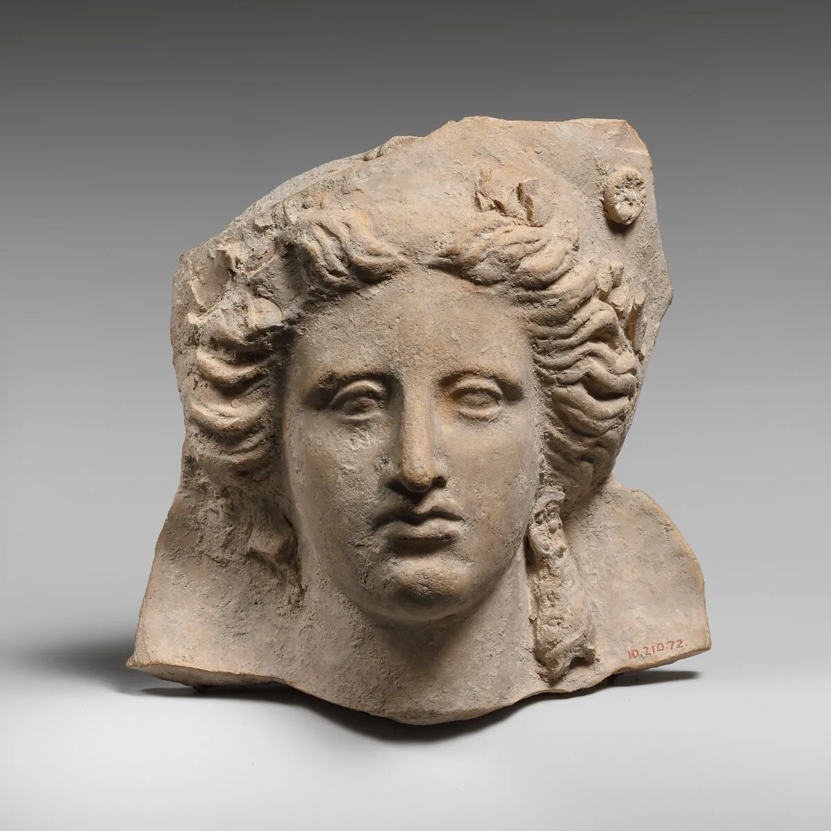Head of a woman — Unknown