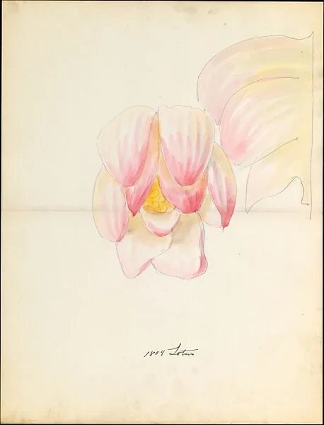 Design drawing of of lotus blossom of floral capital from loggia, Laurelton Hall — Lenox, Incorporated
