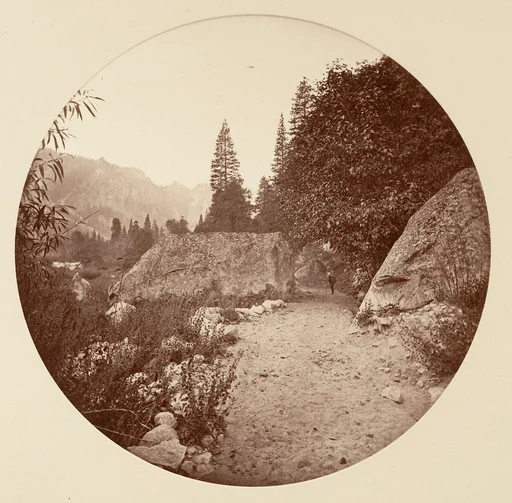 [Yosemite National Park, California]