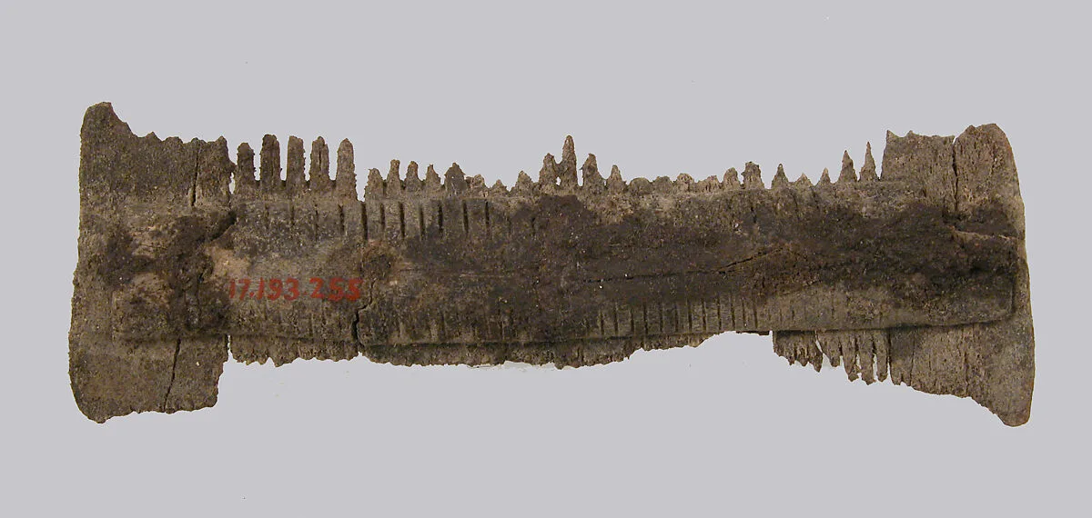 Double-Sided Comb — Unknown