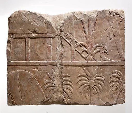 Cast of Hatshepsut's Punt Reliefs: Reception in Punt