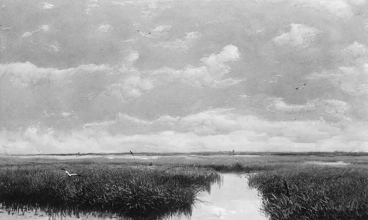 Marsh Grass — Milne Ramsey