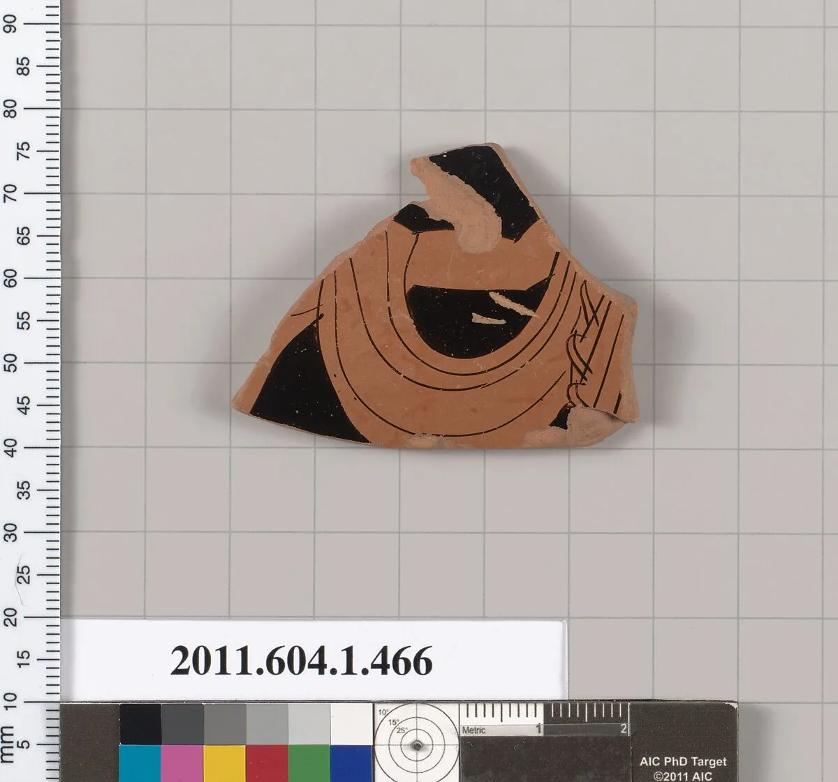 Terracotta fragment of a kylix (drinking cup) — Unknown