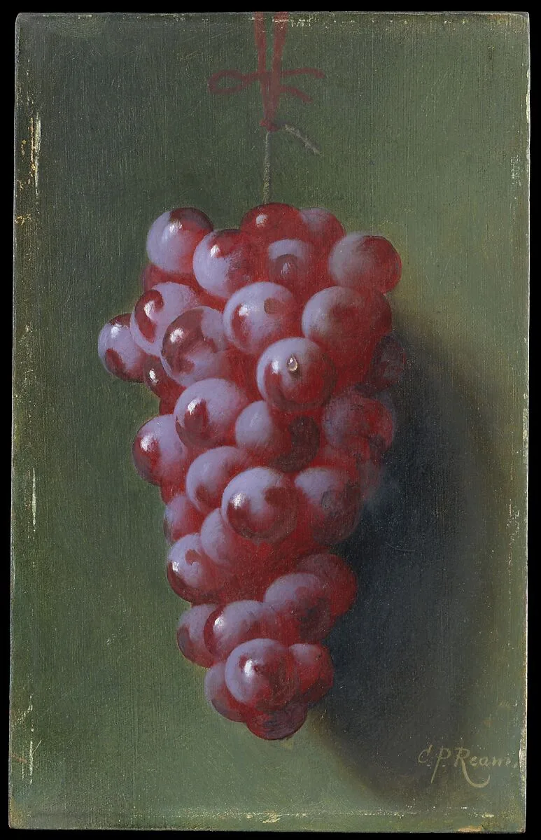 Still Life with Grapes — Carducius Plantagenet Ream