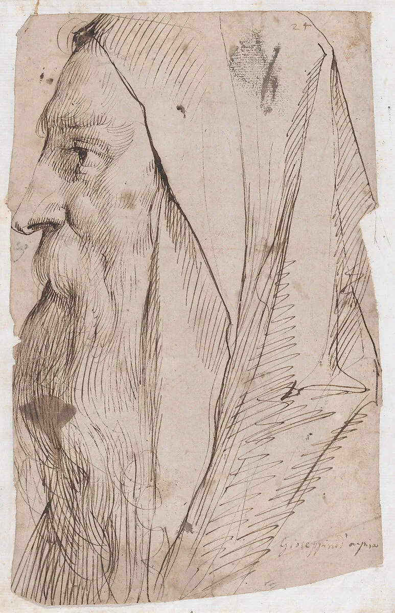 Head of a Bearded Man Wearing a Hood in Profile Facing Left — Cavaliere d'Arpino (Giuseppe Cesari)