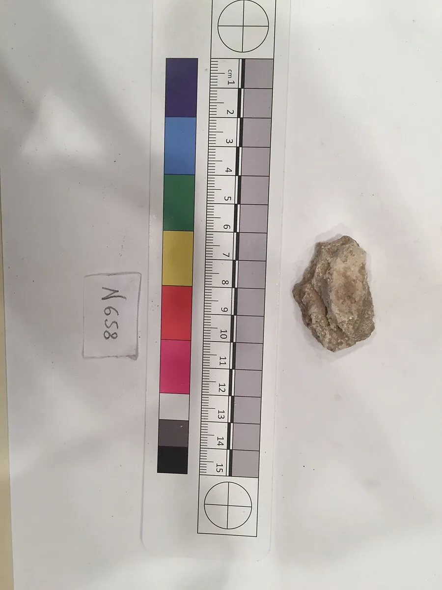 Stucco Fragment — Unknown