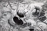 Wild Dog — Clifton Pugh