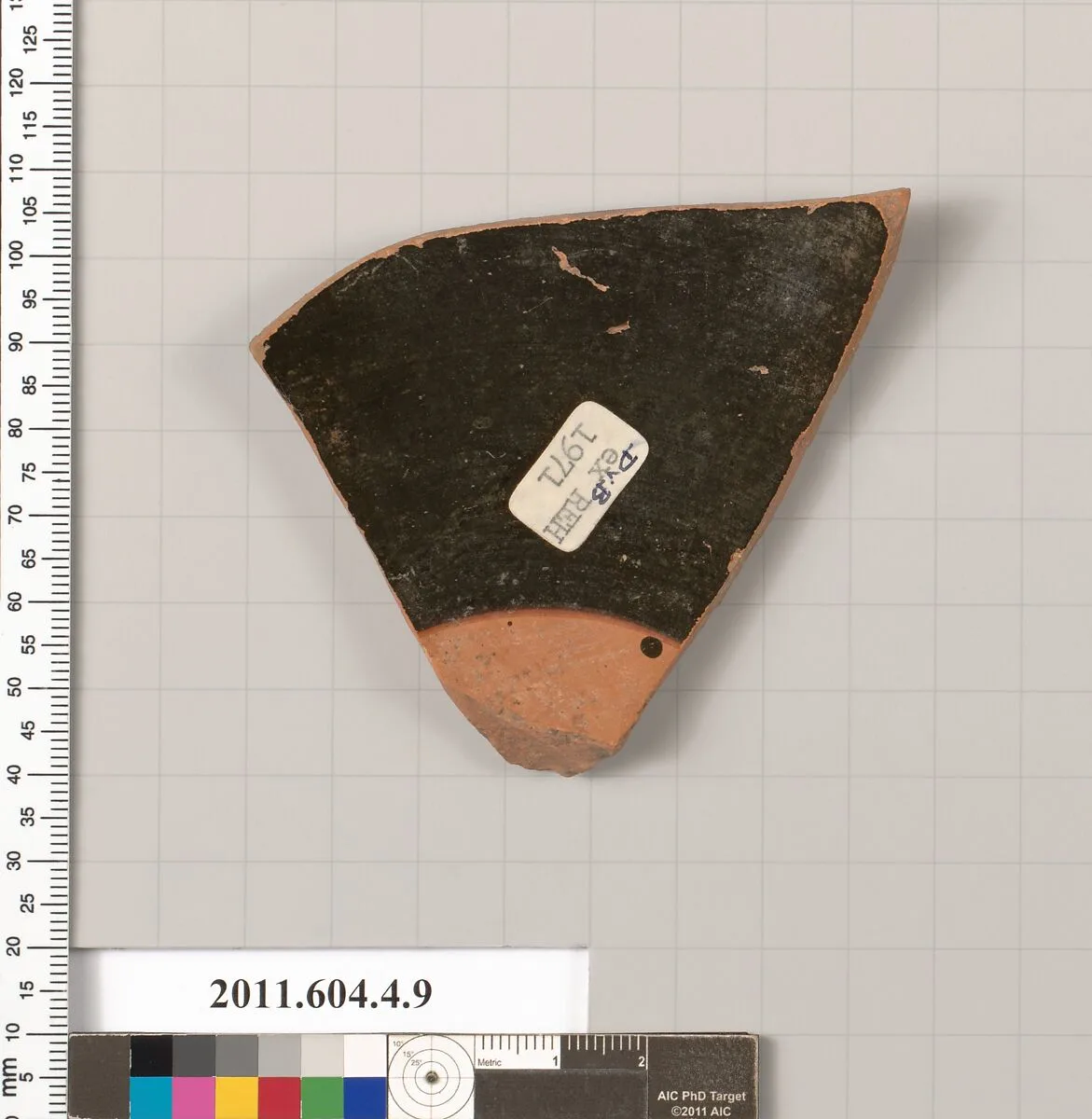 Terracotta fragment of a kylix: band-cup (drinking cup) — Unknown