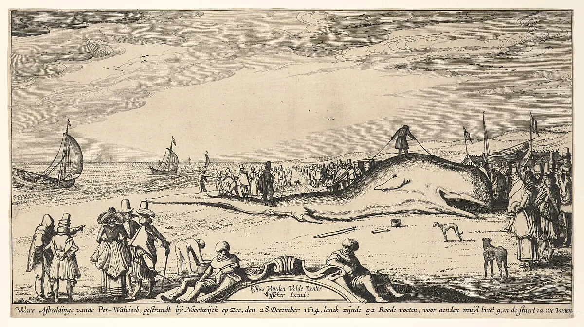 Beached Sperm Whale at Noordwijk, 28 December 1614 — Esaias van de Velde|Claes Jansz. Visscher|Claes Jansz. Visscher
