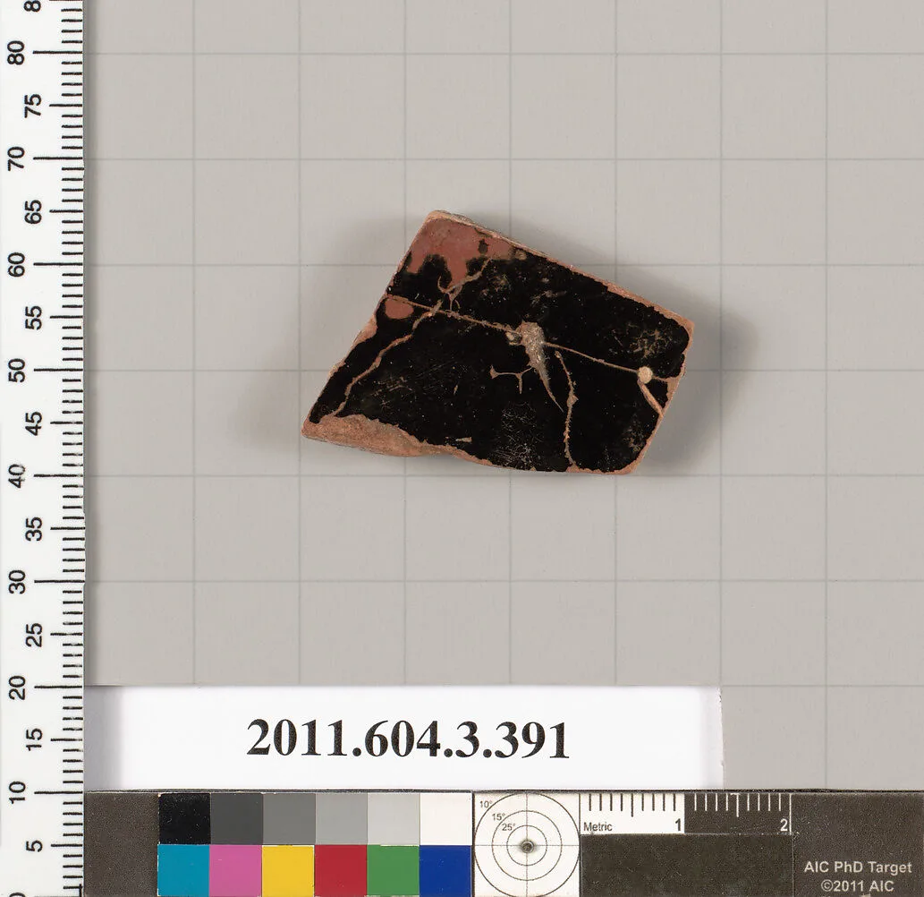 Terracotta fragment of a neck-amphora (jar) — Unknown