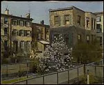 Backyards, Brooklyn — Ogden M. Pleissner