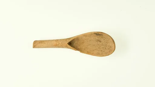 Spoon