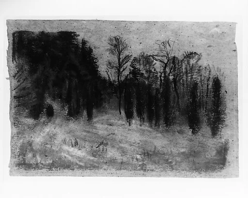 Landscape with Cedars