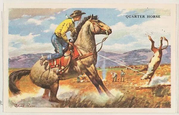 Quarter Horse, bakery card from the Horses series (D39-5), issued by the Gordon Bread Company — Gordon Bread Company