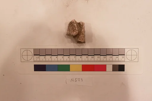Stucco Fragment