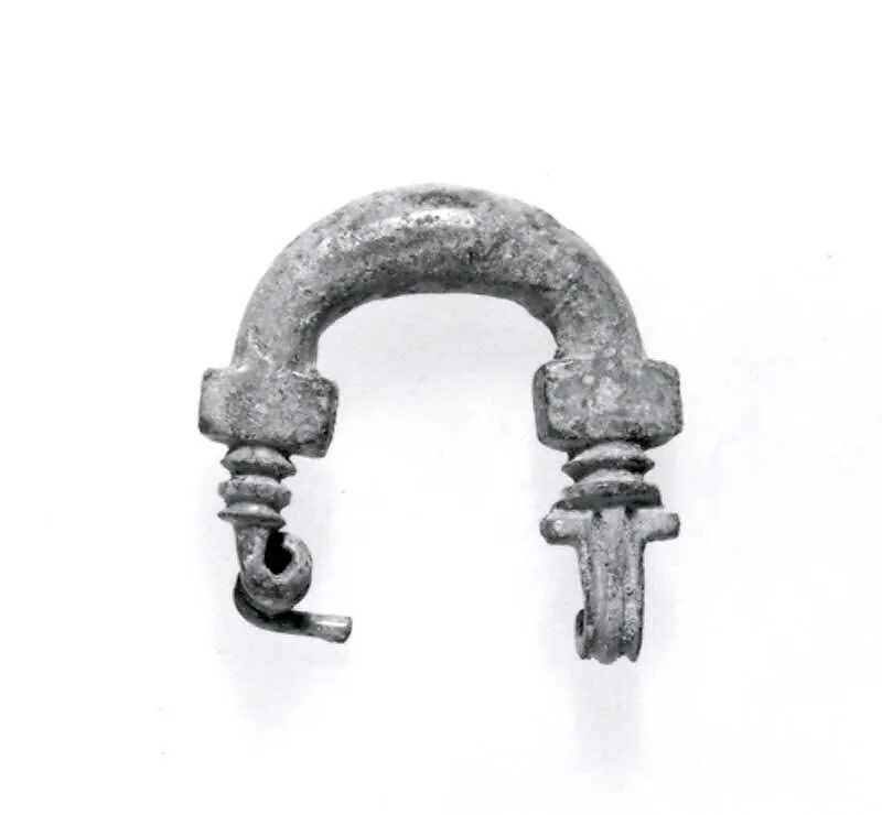 Fibula — Unknown