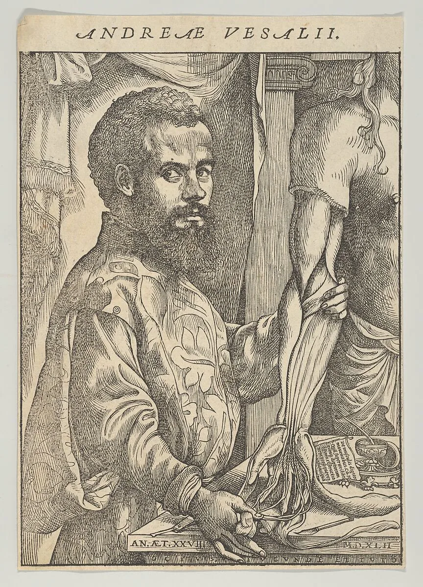Portrait of Andreas Vesalius, half-length in profile standing in front of a table dissecting the arm of a body; frontispiece to Andreas Vesalius 'De humani corporis fabrica libri septem' — John of Calcar (John Stephen Calcar)