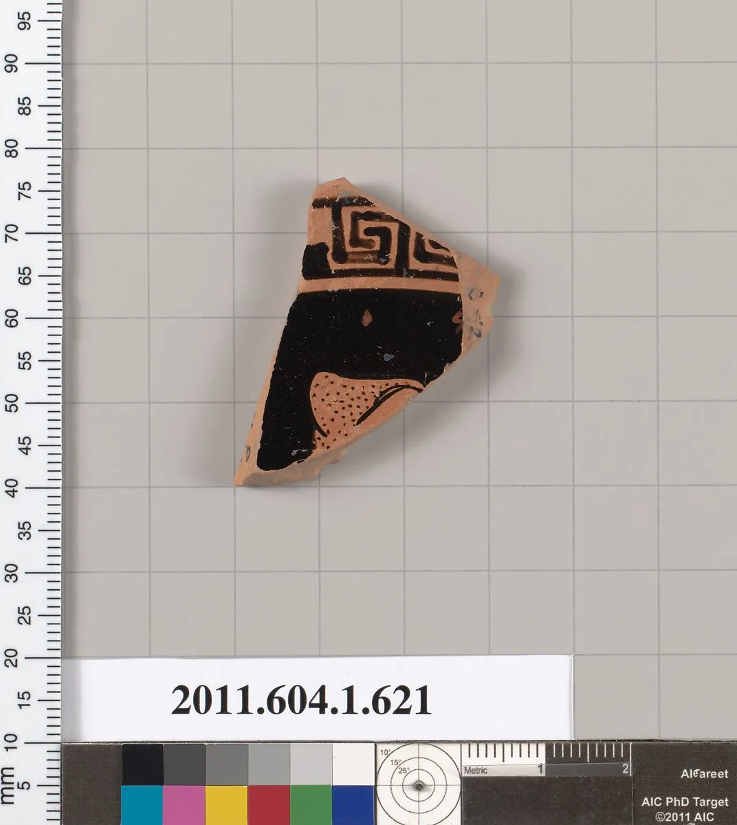Terracotta fragment of a kylix (drinking cup) — Unknown
