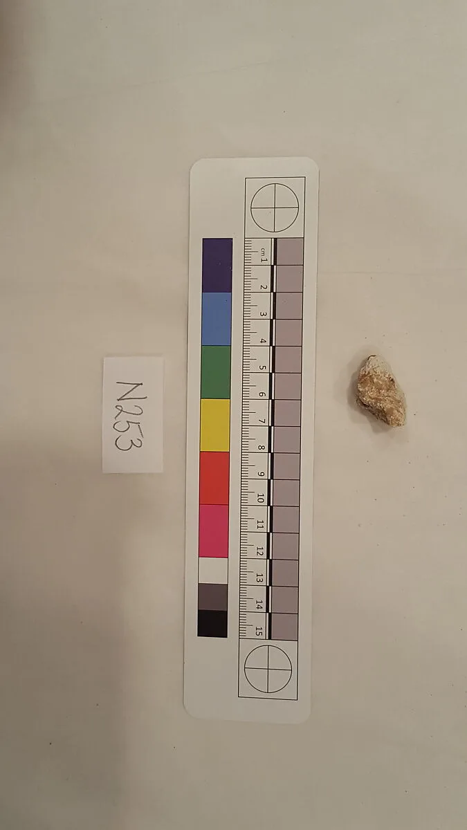 Stucco Fragment — Unknown