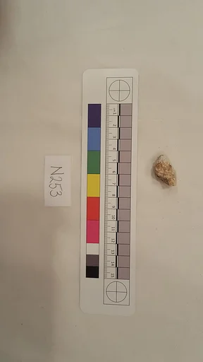 Stucco Fragment