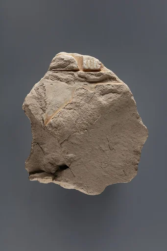 Relief fragment possibly from the tomb of Mereri