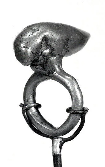Ring: Insect — Unknown