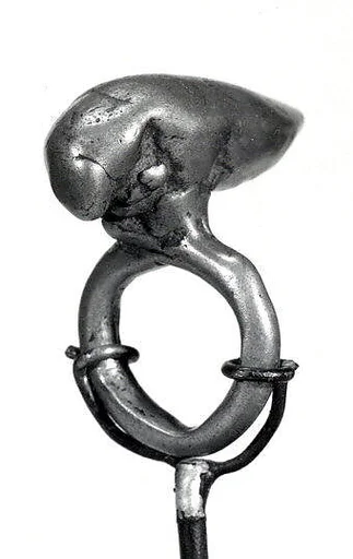 Ring: Insect