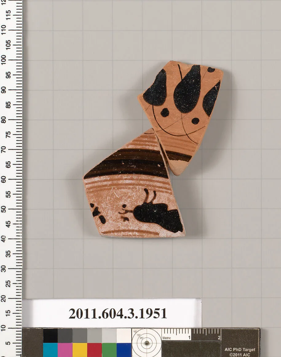 Terracotta fragment of a kylix: Droop cup (drinking cup) — Unknown