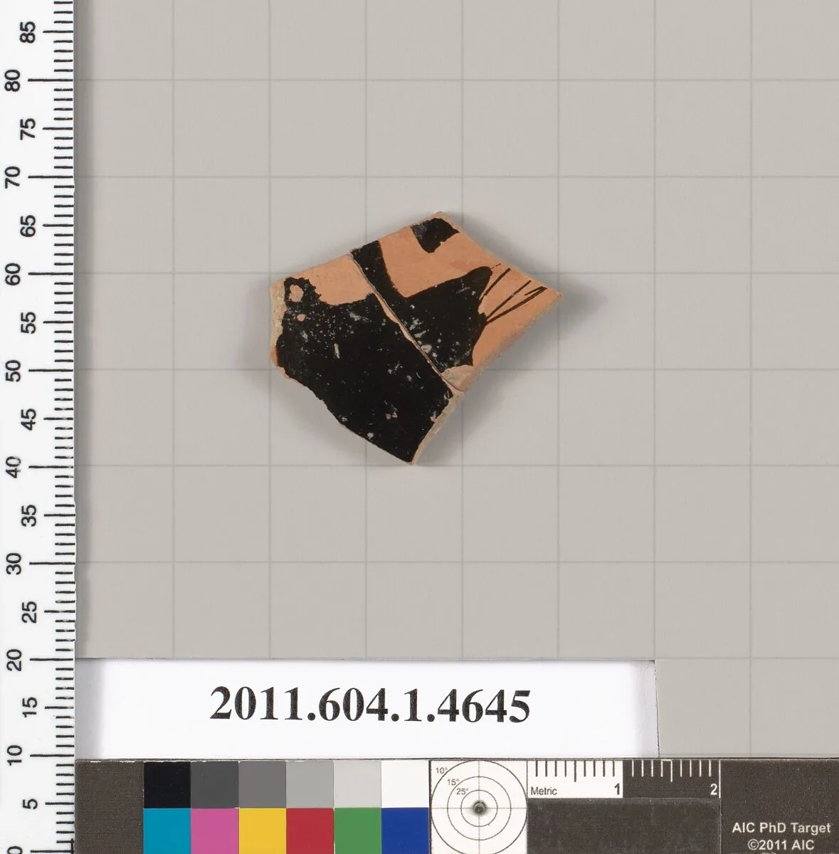 Terracotta fragment of a kylix (drinking cup) — Unknown