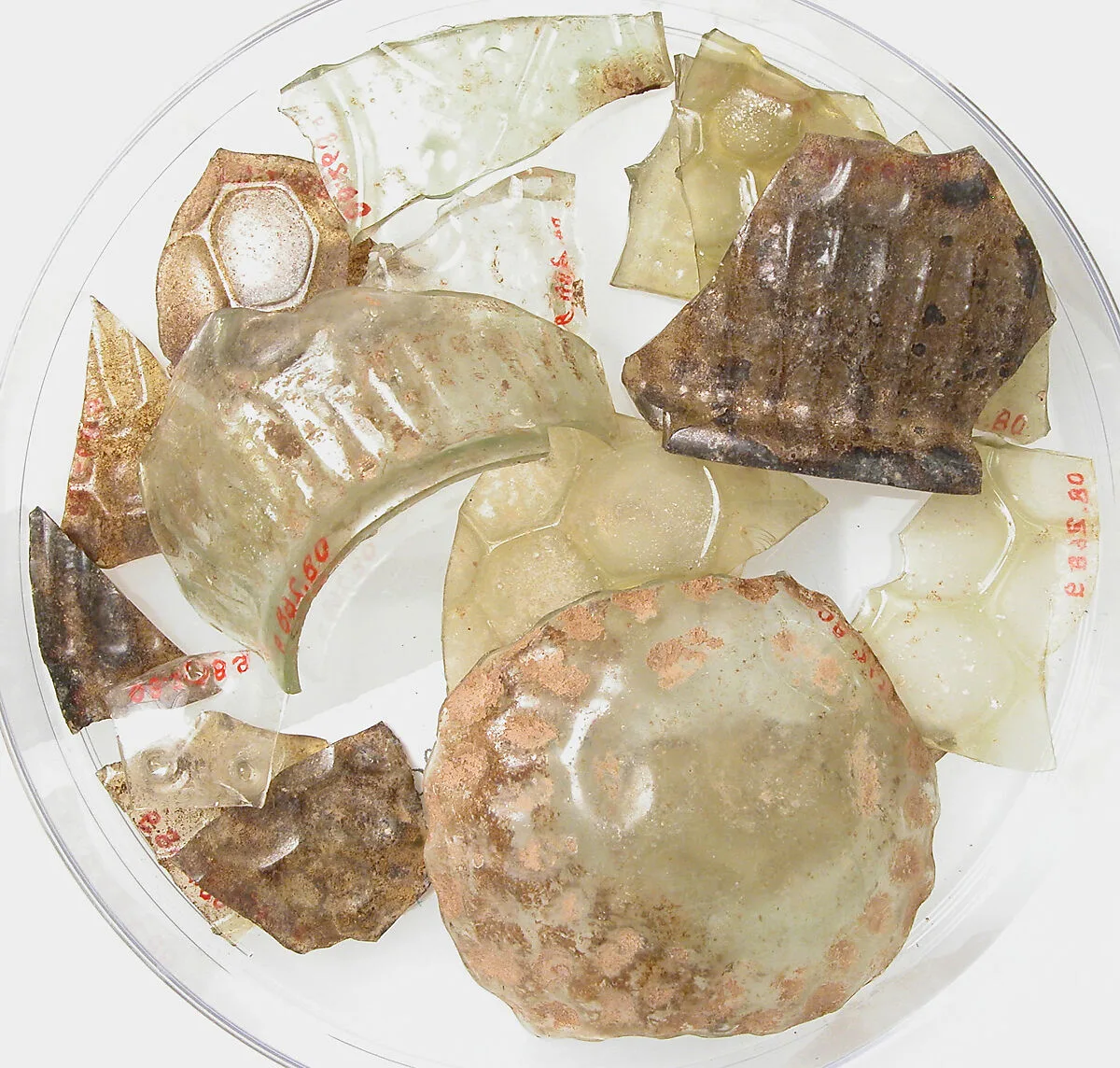 Glass Fragments — Unknown