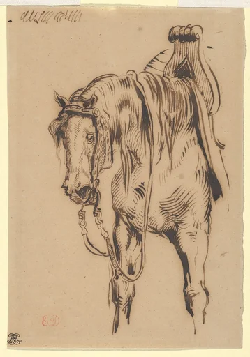 Goetz van Berlichingen's Horse