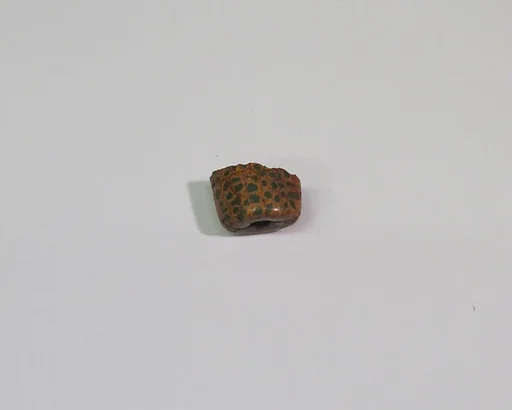 Part of orange and green conical bead