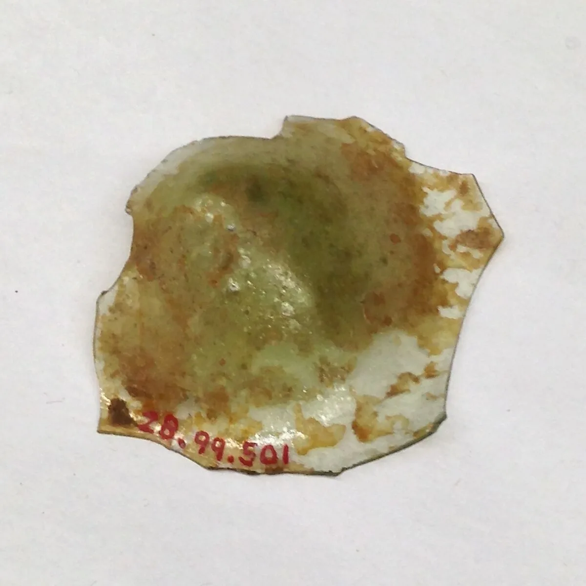 Fragment — Unknown