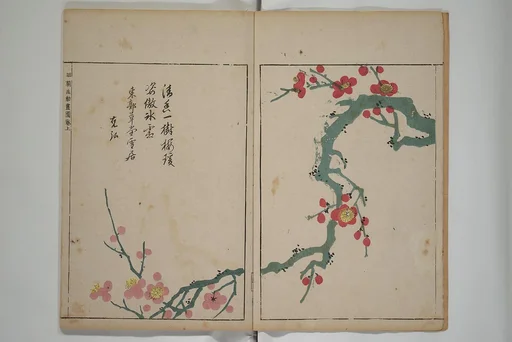 明朝紫硯|A Collection of Lively Sketches [Of Flowers and Insects] of the Ming Dynasty (Minchō shiken) 明朝紫硯