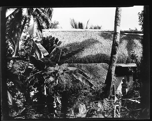 [South Seas: Thatched Roof House, Behind Trees and Foliage]
