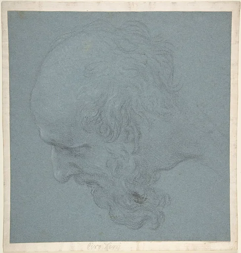 Head of a Bearded Man Looking to Upper Left