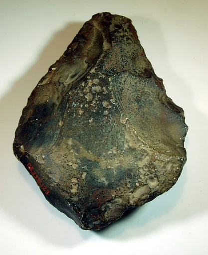 Biface, commonly referred to as a hand ax
