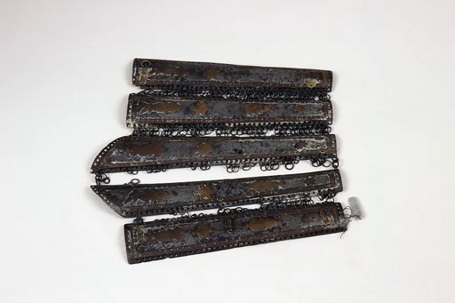 Arm Guard