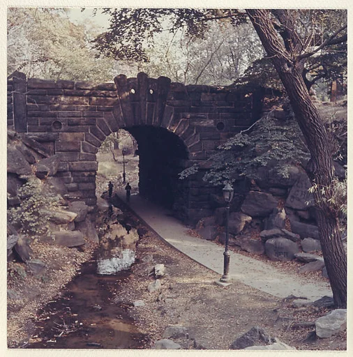 Central Park - New York