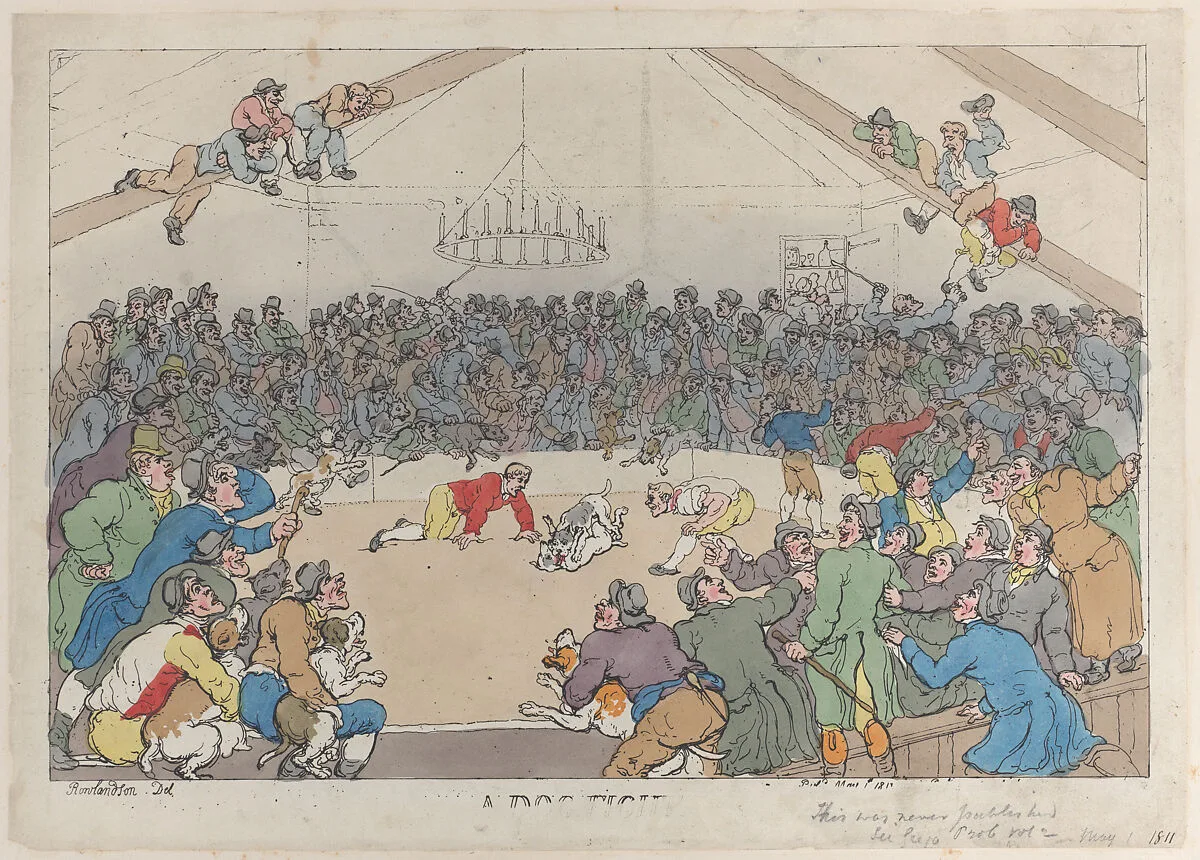 A Dog Fight — Thomas Rowlandson