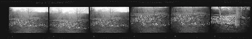 [52 Architectural Details and Views of Sheep, Possibly England]