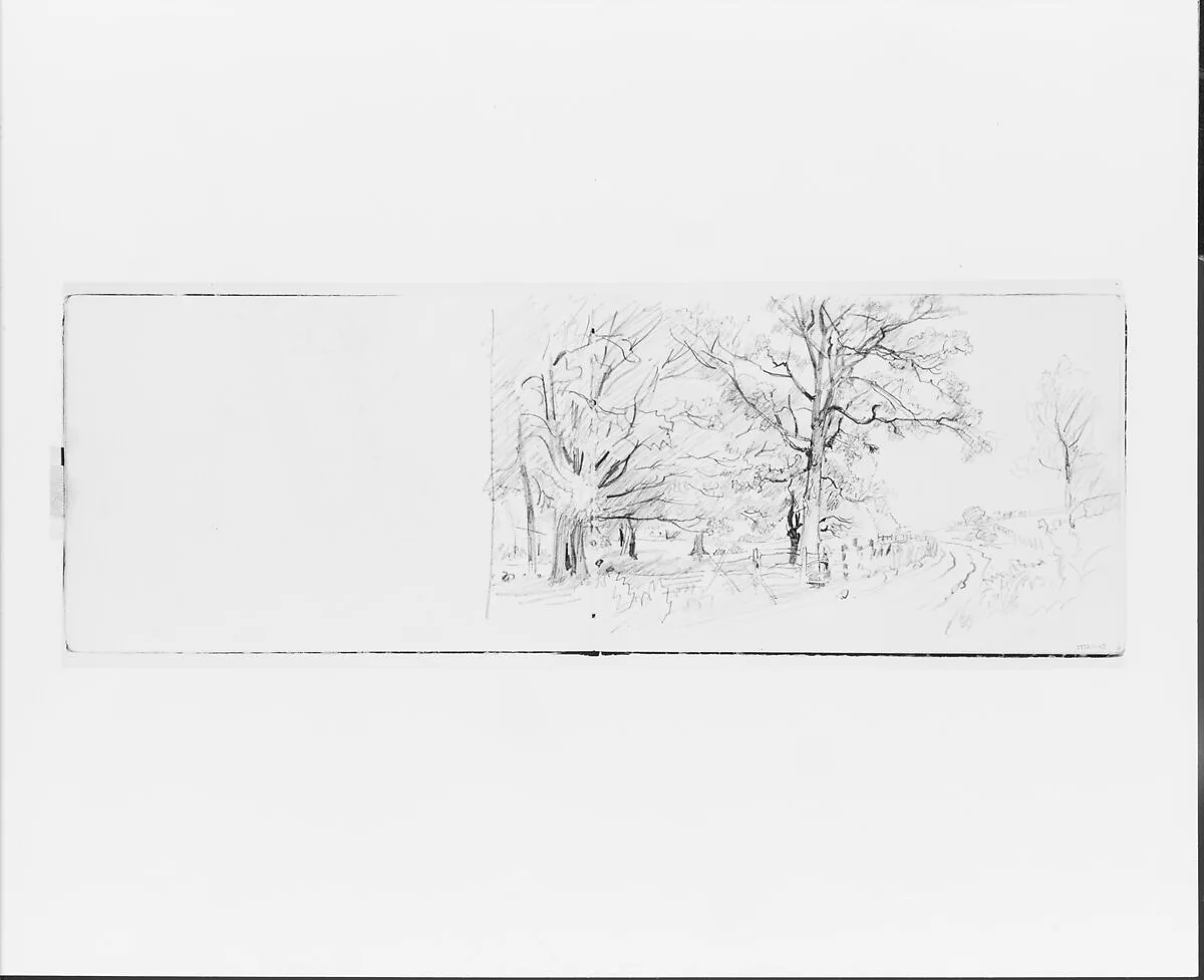 Tree Sketch (from Sketchbook VII) — William Trost Richards