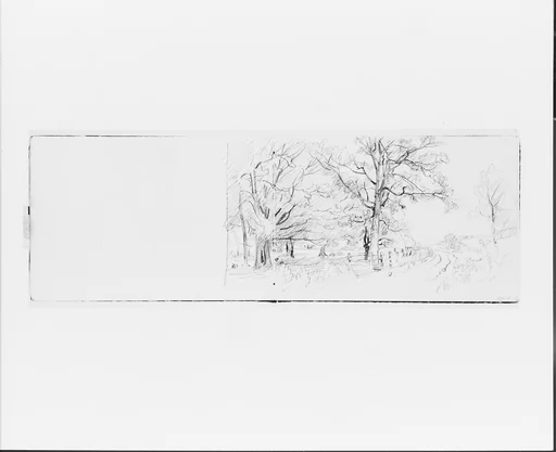 Country Road Framed by Trees (from Sketchbook VII)