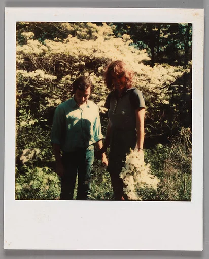 [Jerry Thompson and Jane Corrigan Pruning a Tree]
