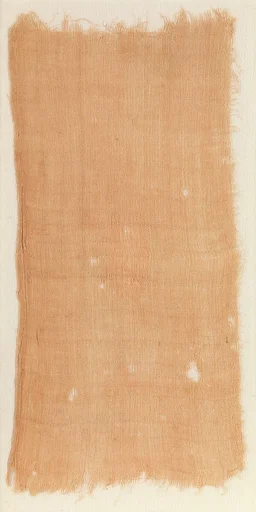 Mummy Cloth Fragment of Nesitanebtasheru