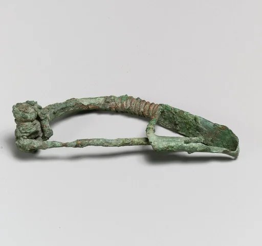 Fibula