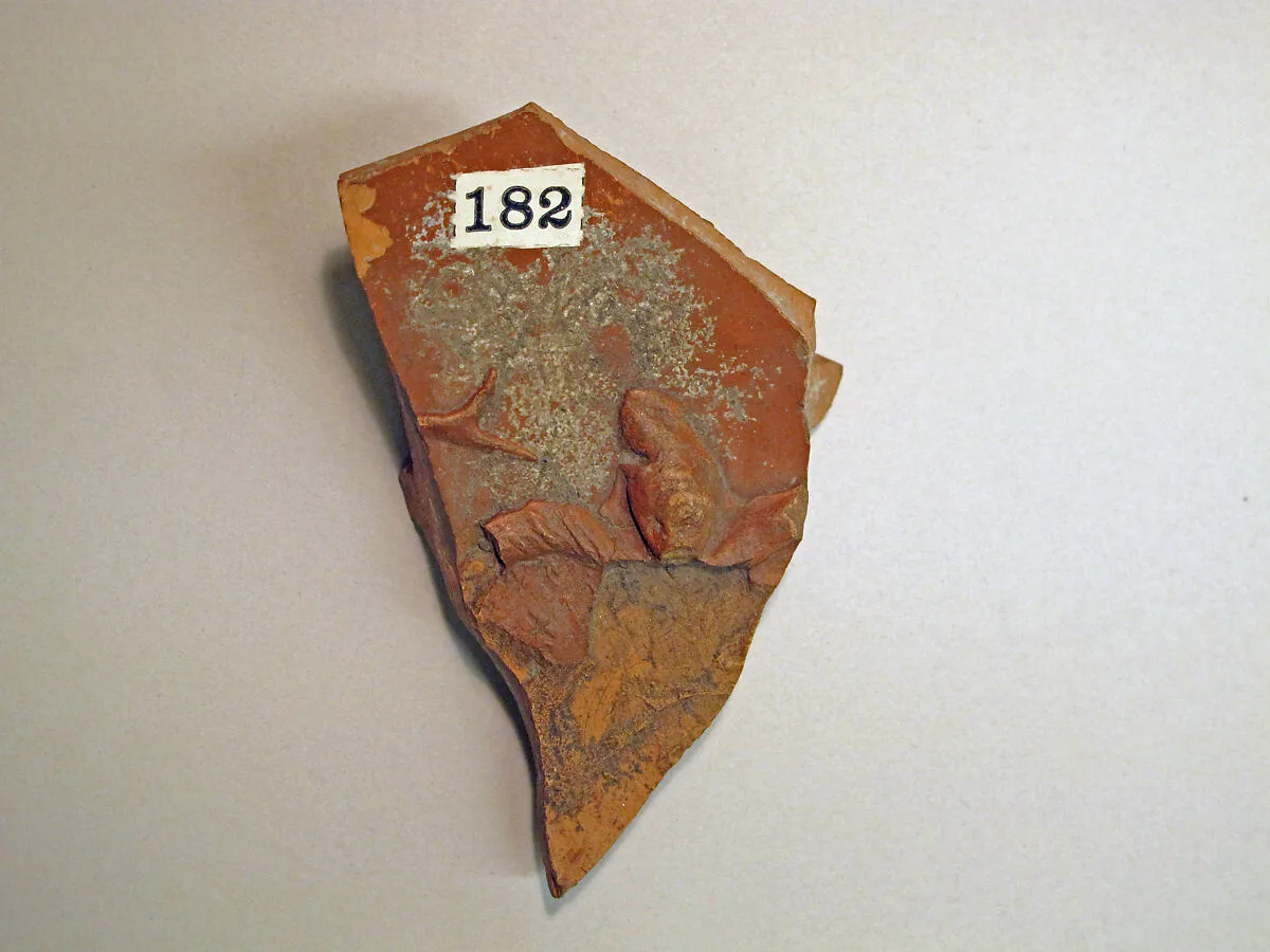 Vase fragment — Unknown