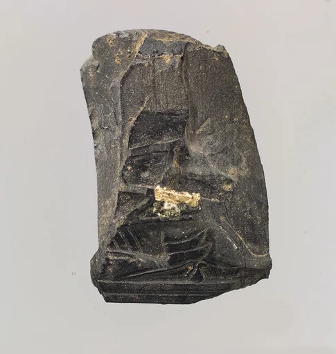 Pyxis fragment
