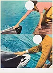 Two Whales (with People) — Mezzanine Gallery, Metropolitan Museum of Art|John Baldessari|Gemini G.E.L.