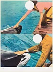 Two Whales (with People)